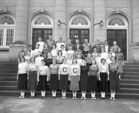 CHS-587317