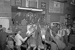 21_1970s _Mule_Auction