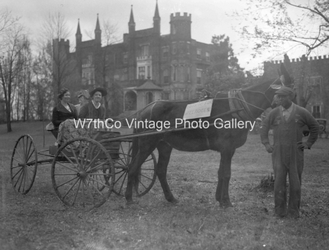 Mule Day 1935