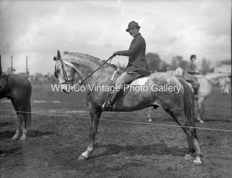 Mule Day 1935