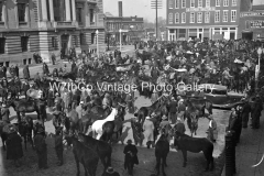 Mule Day 1934