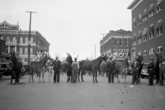 Mule Day 1936