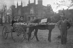 Mule Day 1935