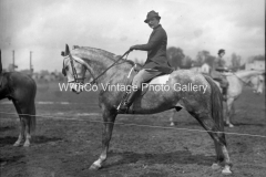 Mule Day 1935